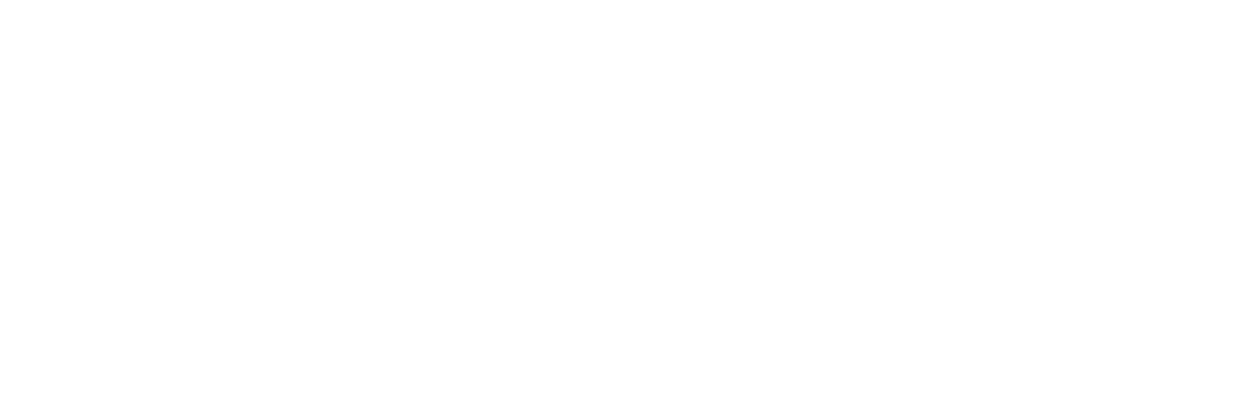 Synerge Paper Industries